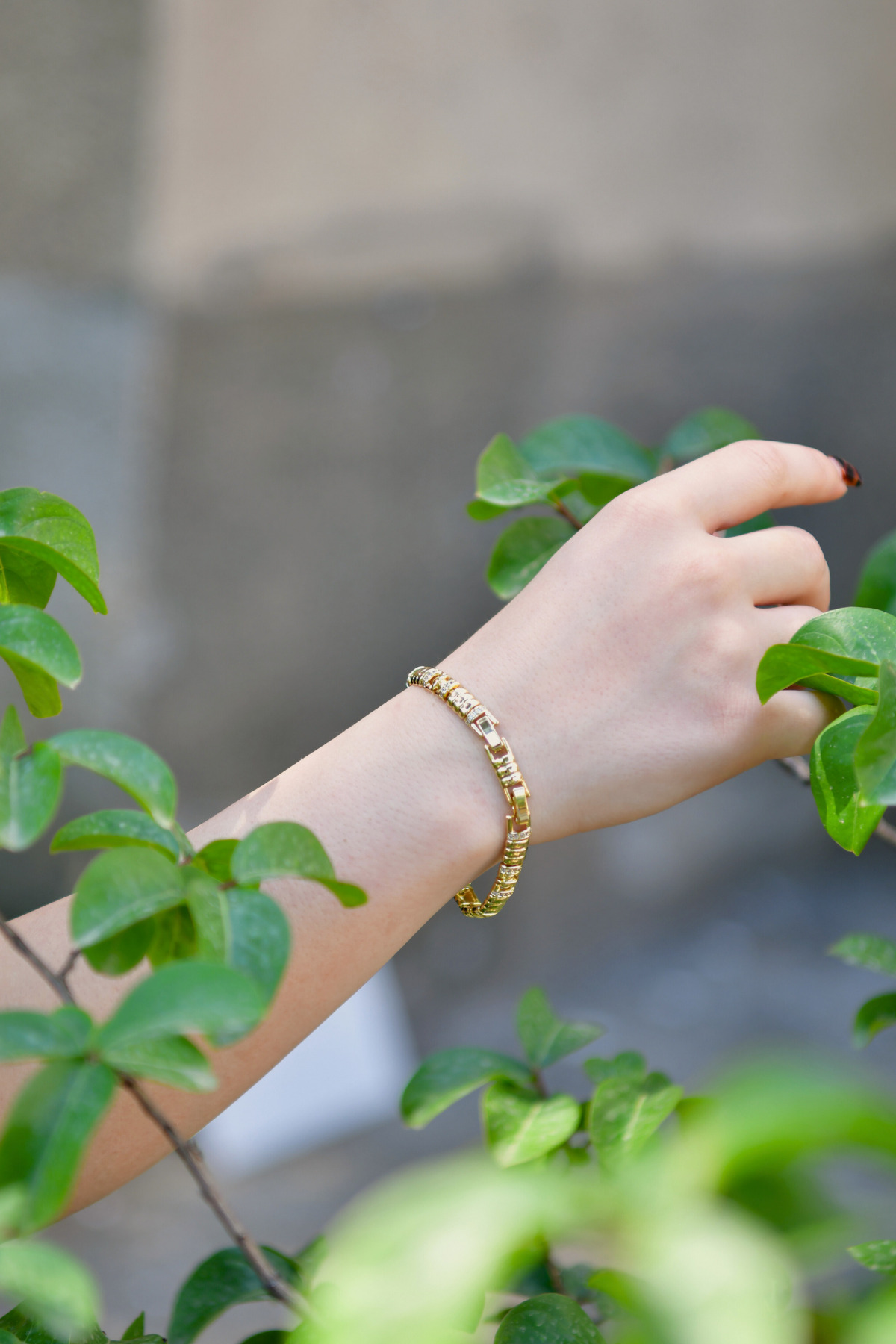 XP Altın Kaplama Zirkon Taşlı Tırtıl Model Kadın Çelik Görünümkü Xp Zincir Bileklik